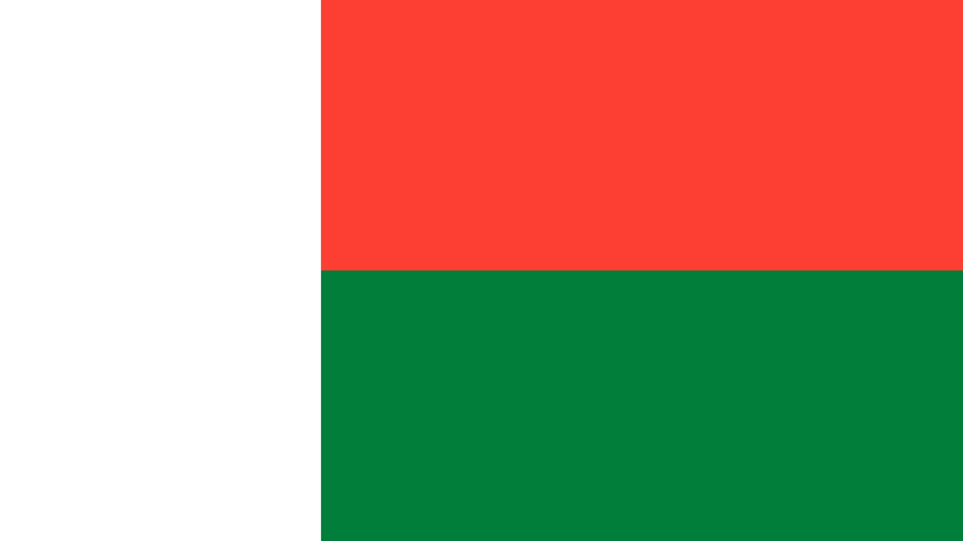 A bandeira consiste de três campos de igual área e proporções, nas cores vermelho, verde e branco, dispostos verticalmente.