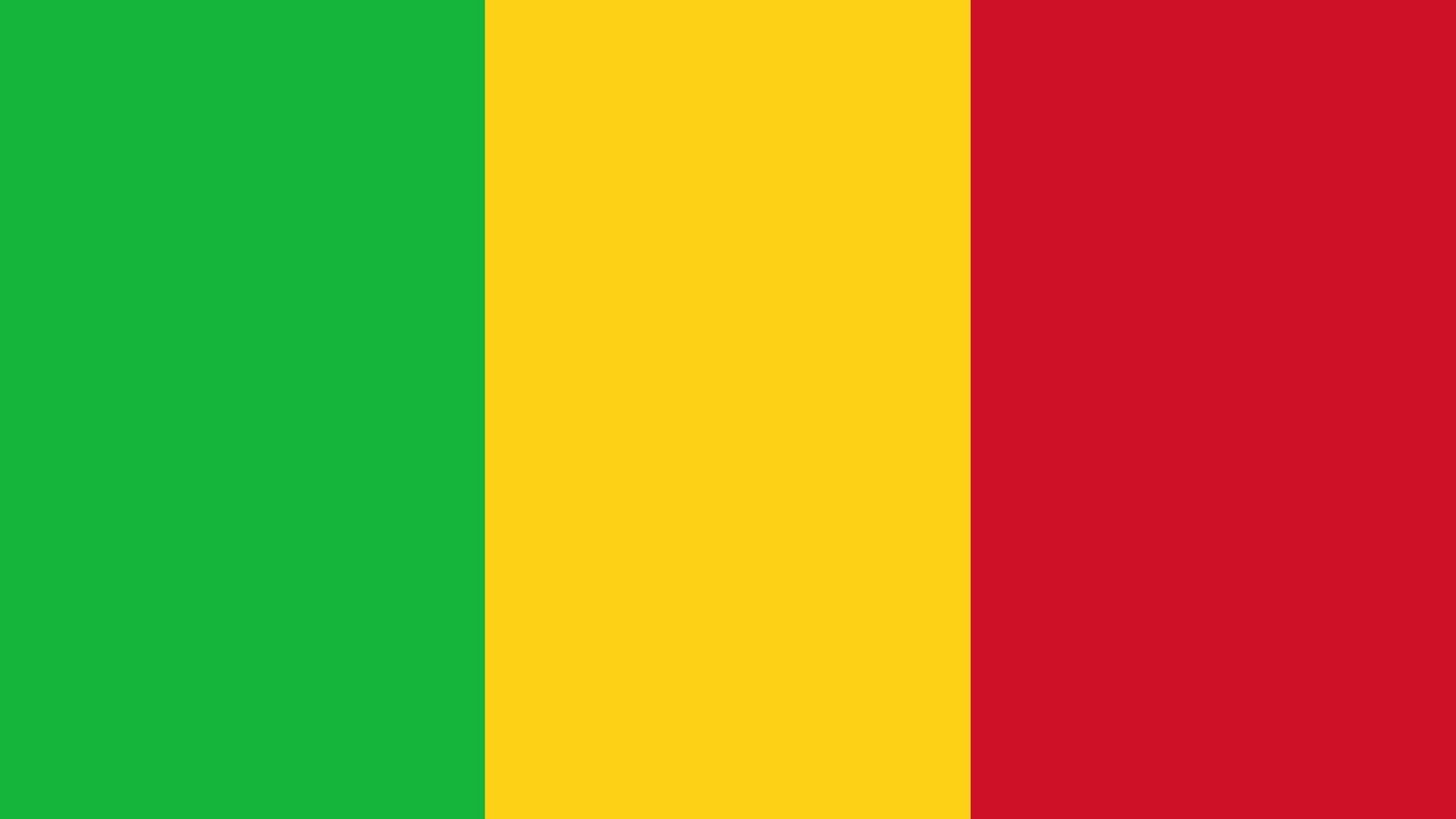 A bandeira é possui três cores verticais: verde, ouro e vermelho, ou as cores Pan-Africanas.