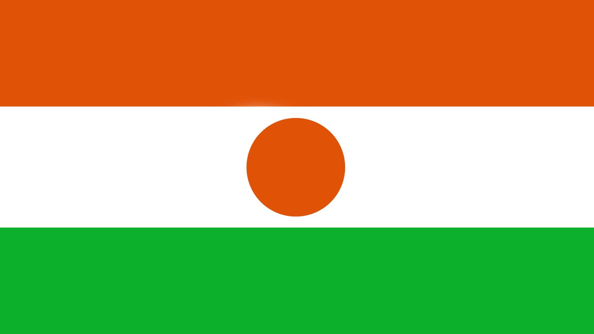 A bandeira possui três faixas horizontais de mesmo tamanho: laranja na parte de cima, branco ao centro e verde na parte de baixo. No centro da faixa branca existe um círculo de cor laranja. É semelhante a bandeira da Índia.