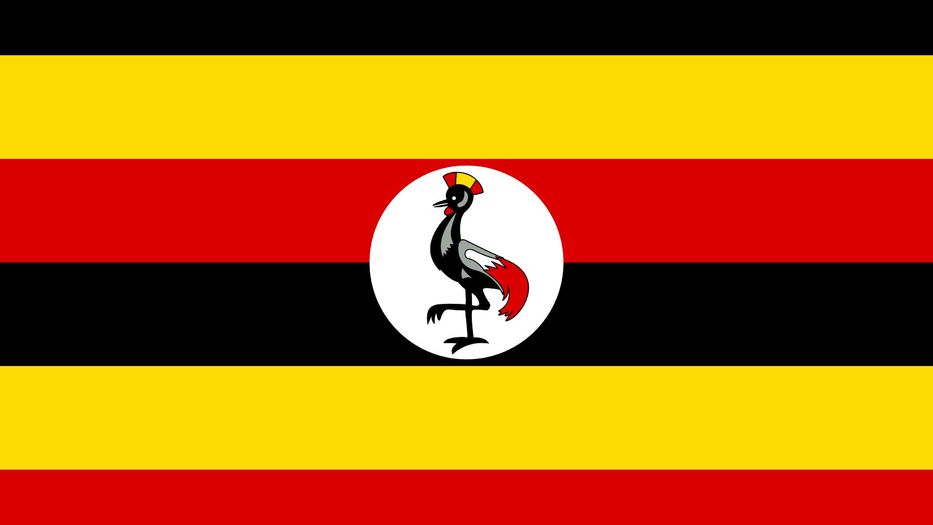 A bandeira da Uganda possui as cores: preto, amarelo e vermelho. No centro temos um brasão constituído de um grou-coroado-preto, ave conhecida no país por sua natureza bondosa e também era o emblema dos soldados ugandenses durante o domínio britânico.