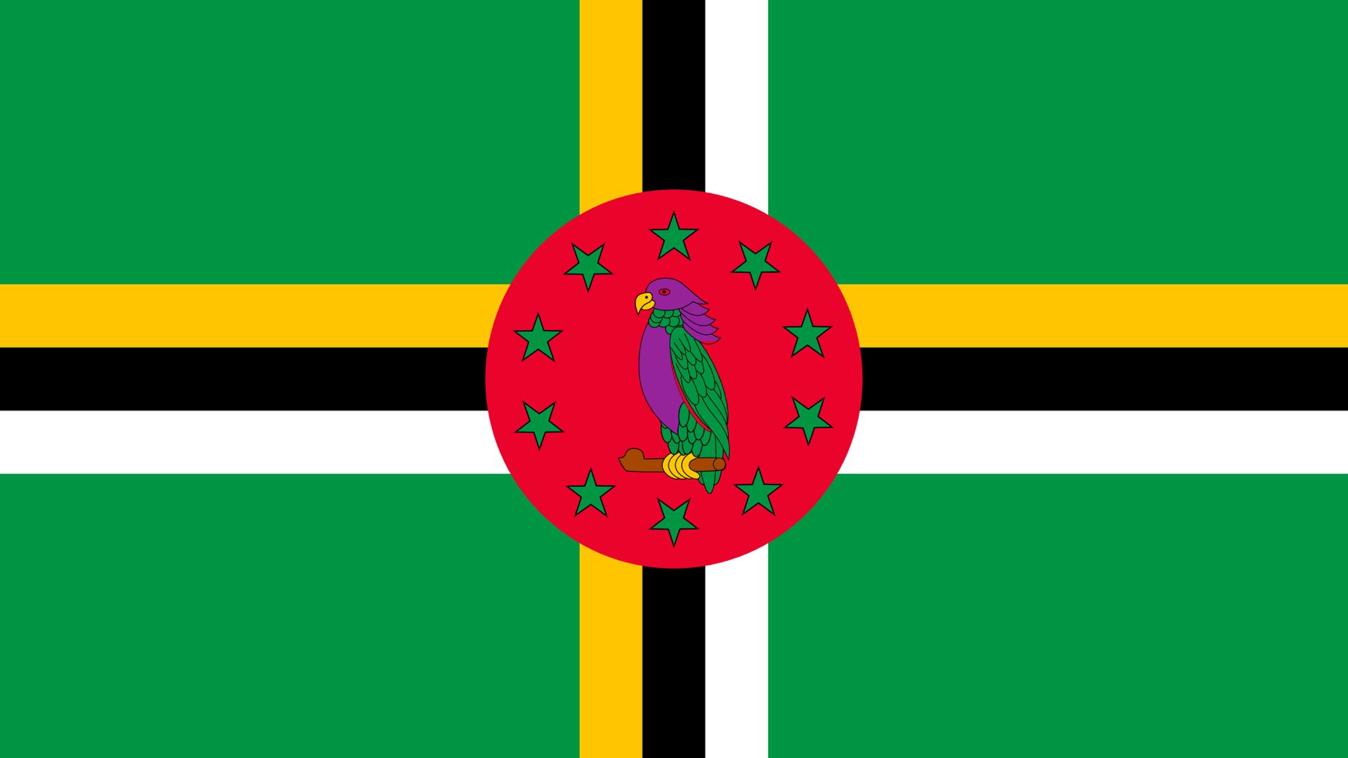 A bandeira da Dominica possui 3 cores: amarelo, preto e branco. O amarelo representa os habitantes originais, preto o solo fértil, e o branco indica a água pura.Tem no seu centro um papagaio que é um símbolo nacional, rodeando por dez estrelas que simbolizam as dez paróquias da ilha.