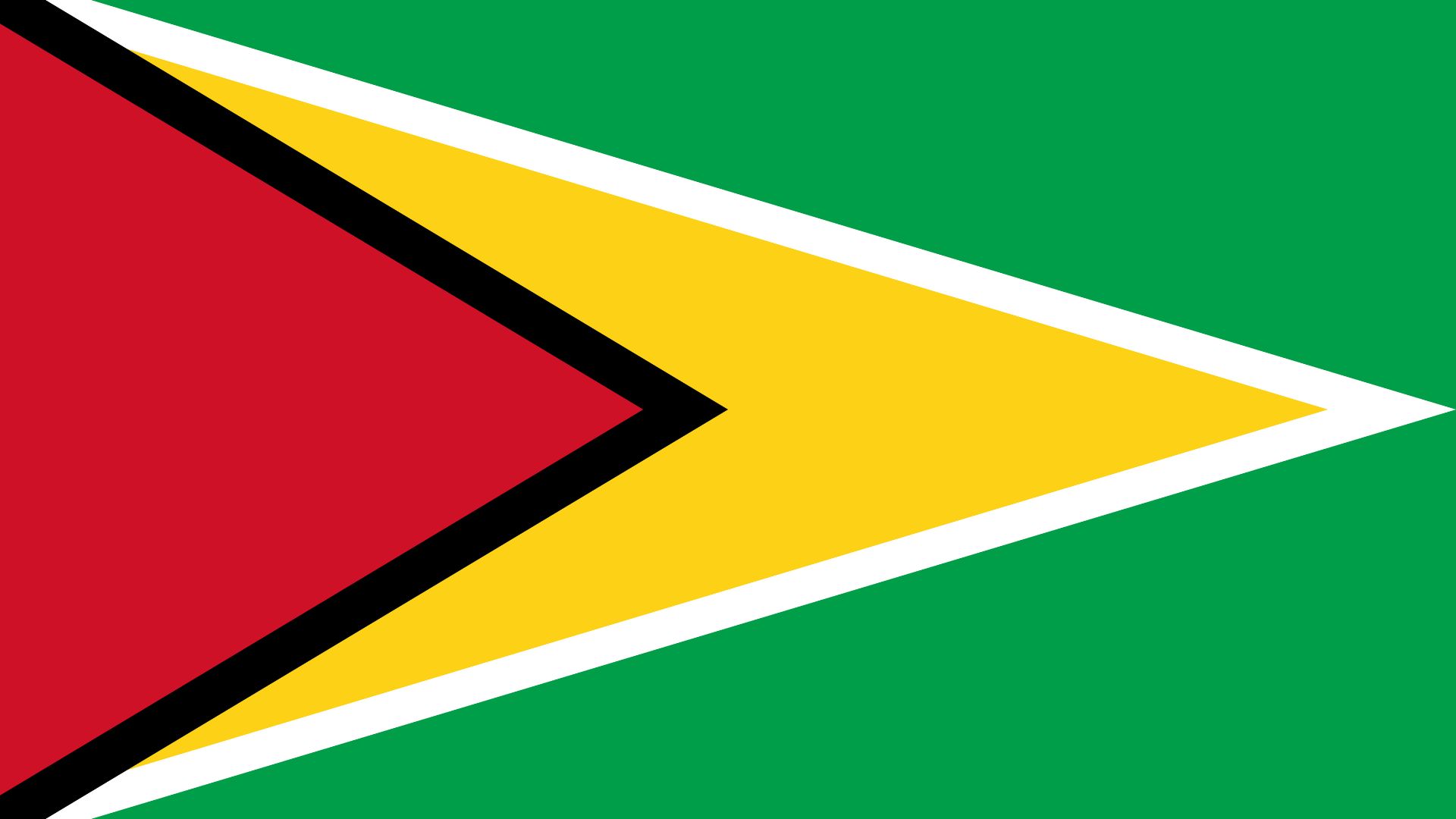 A bandeira da Guiana traz a cor verde que representa a agricultura e os bosques; o branco que imboliza os rios e a água.; o amarelo, que reflete a riqueza mineral do país; o preto representa a capacidade de resistência e o vermelho o ardor e o dinamismo.