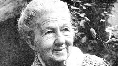 Resultado de imagem para cora coralina