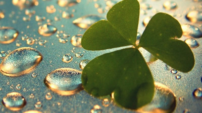 Frases sobre Sorte. E você, tem sorte?