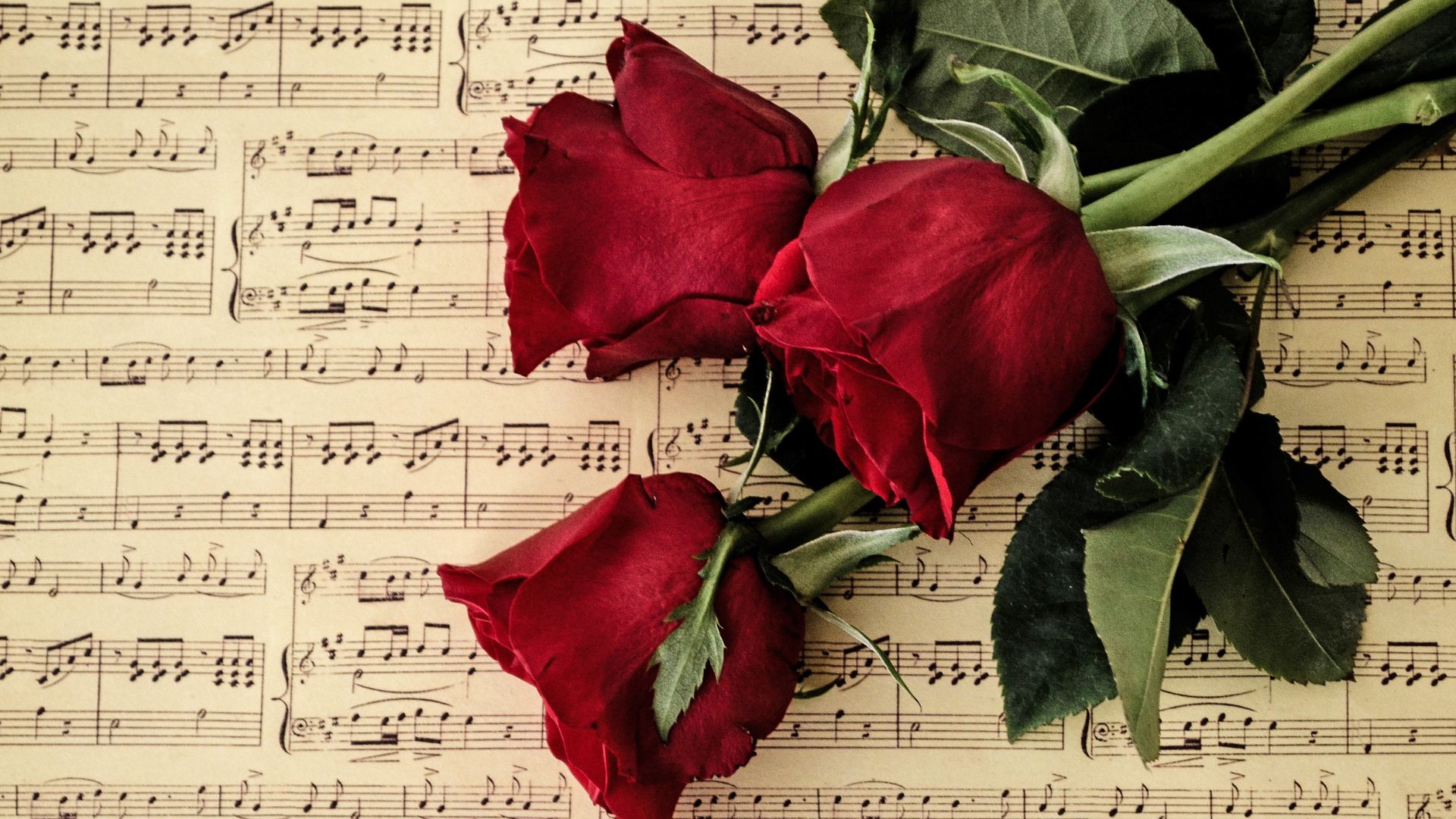 Imagem de três rosas vermelhas em cima de um caderno de partituras musicais