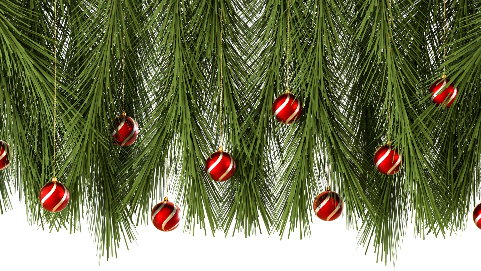 Imagem de vários ramos de pinheiro decorados com bolas de Natal na cor vermelha.