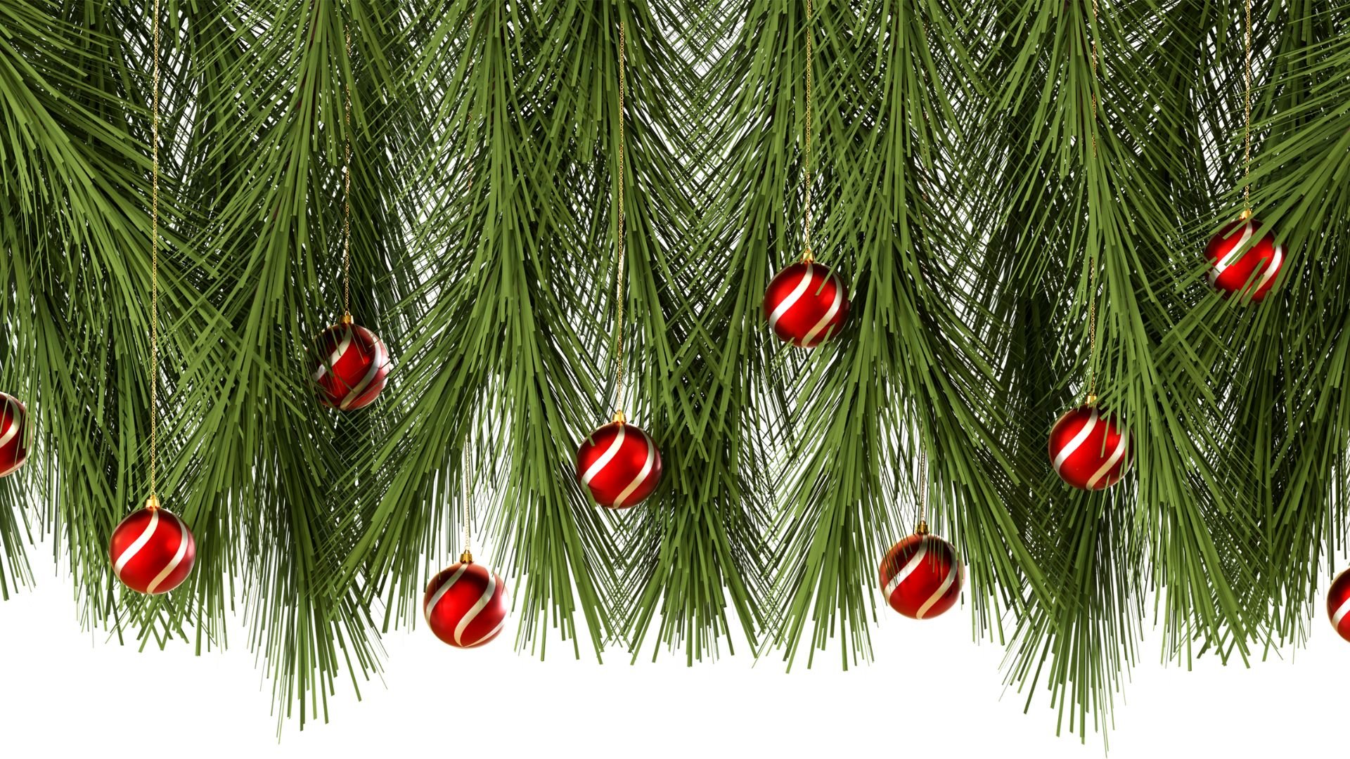 Mauliagusti para o Canva Imagem de vários ramos de pinheiro decorados com bolas de Natal na cor vermelha.