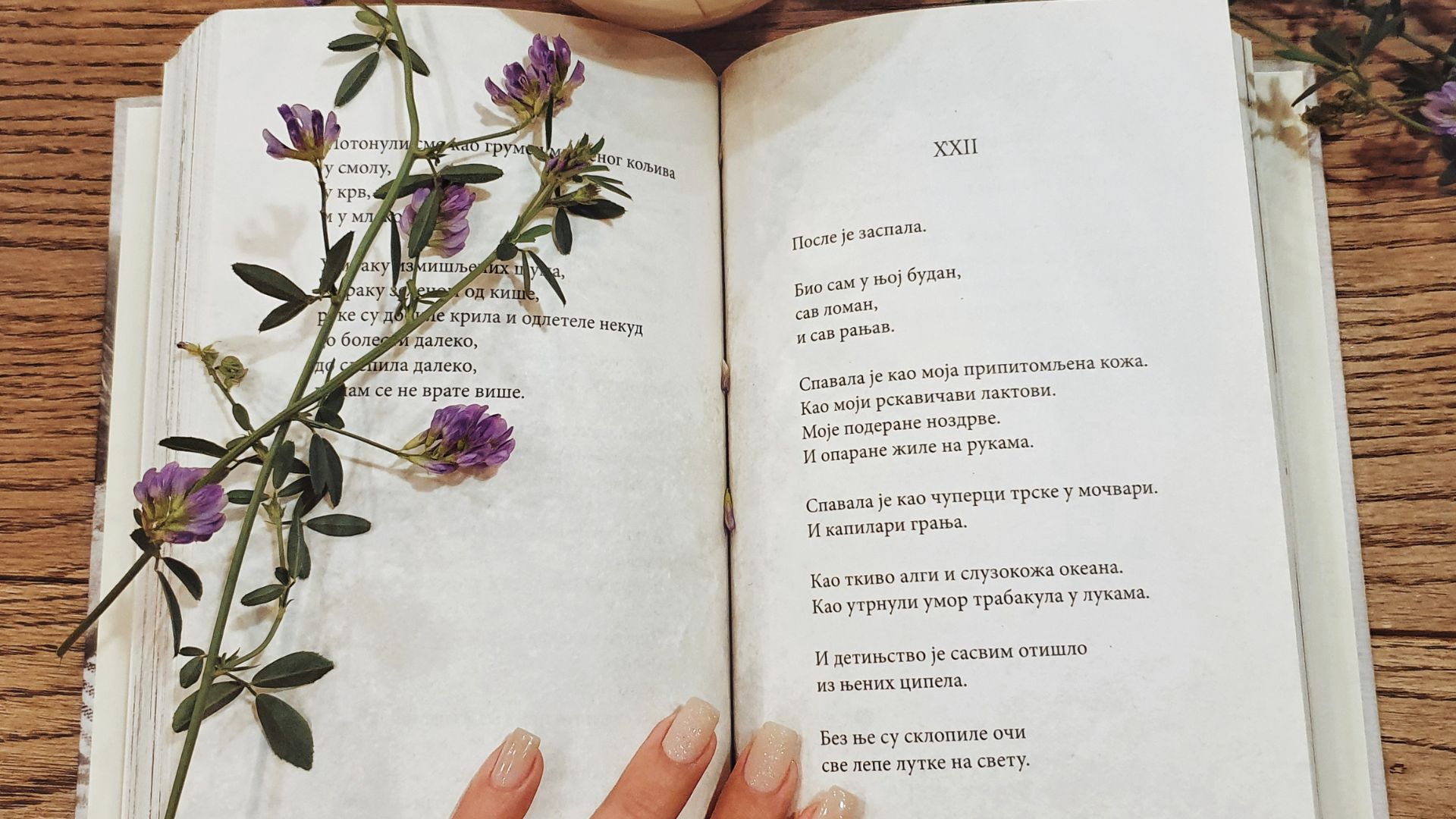 Imagem de um livro de poesias aberto com uma flor roxa em uma das páginas.