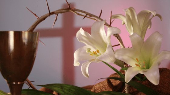 Cálice, flores e espinhos em primeiro plano com um sombra de cruz no fundo