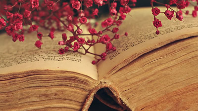 Frases sobre a vida e o amor Frases sobre a vida e o amor