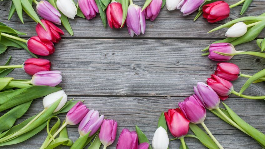 Mesa de madeira com várias tulipas organizadas em formato de coração.