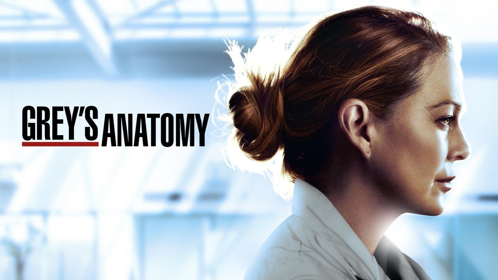 Pôster de divulgação da série 'Grey's Anatomy'.