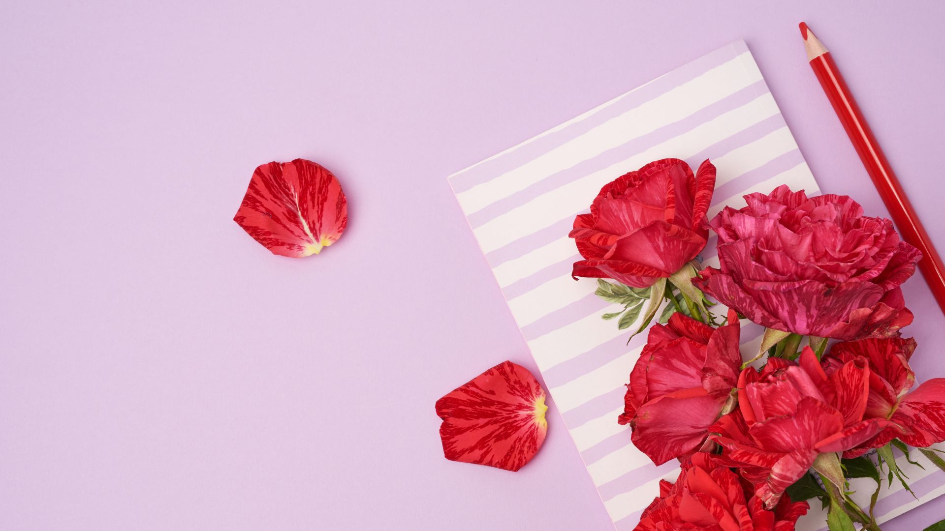 Imagem em um fundo lilás de um caderno listrado e um lápis vermelho do lado e flores vermelhas em cima do caderno