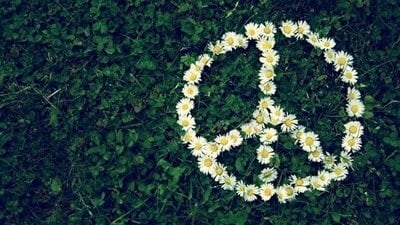 Frases Sobre Paz Interior Tranquilidade Em Palavras