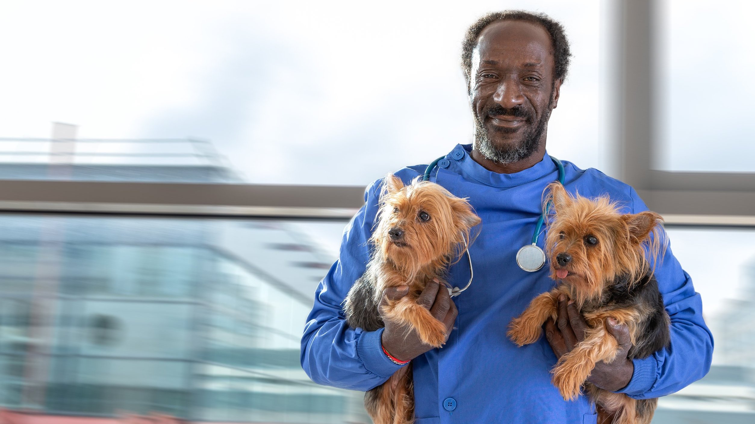 Homem com roupa hospital segurando dois cachorros na mão