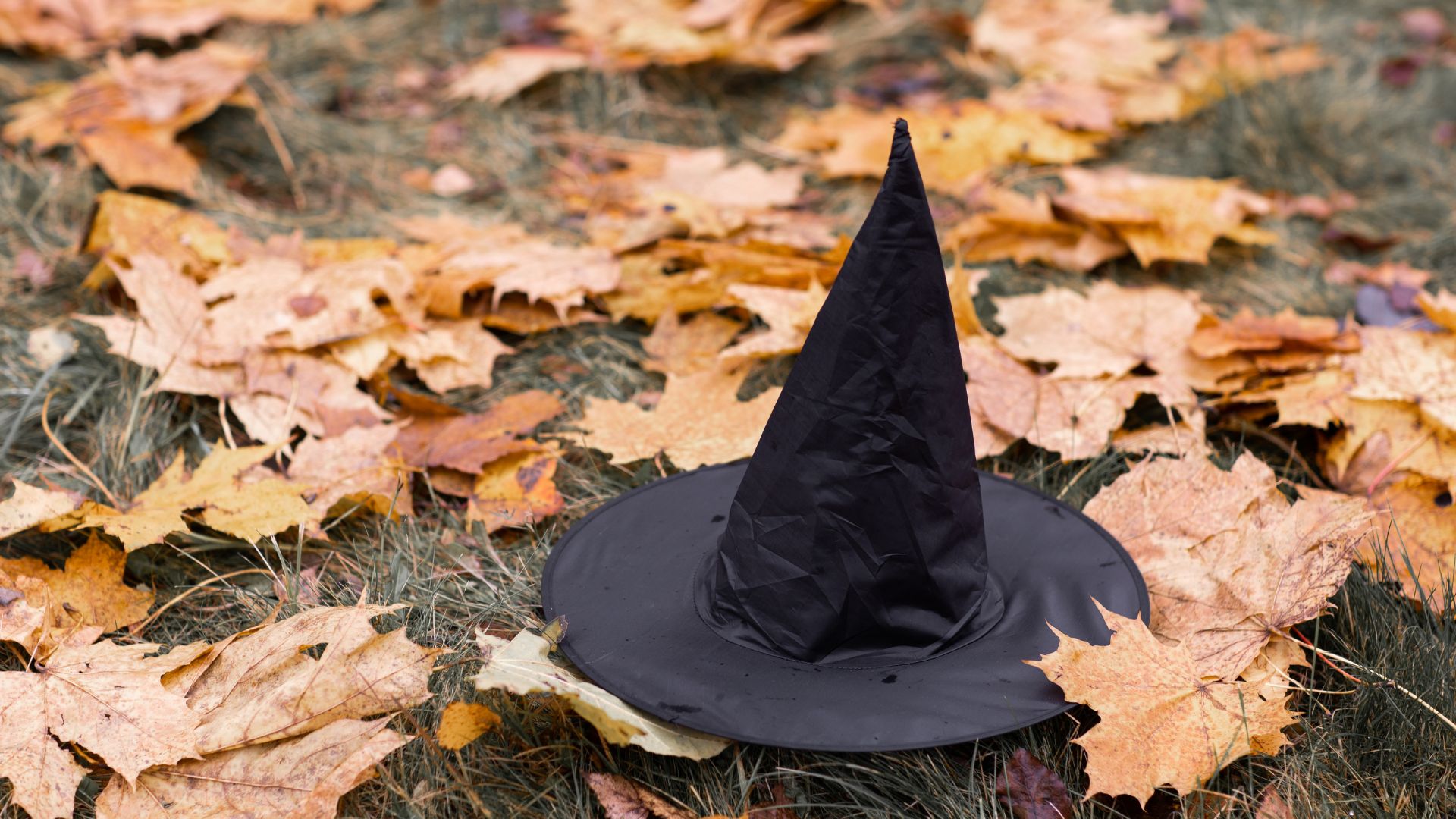Imagem de um gramado cheio de folhas de outono sobre o chão. Em destaque, um chapéu de bruxa preto.