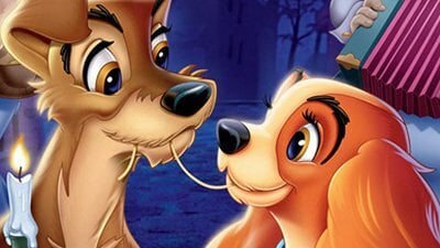 Os Opostos Se Atraem Entenda Melhor Com Nossas Frases