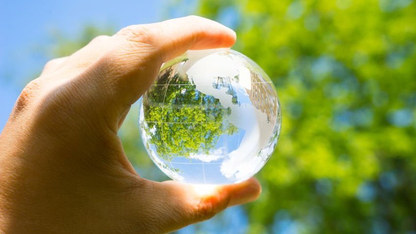 Mão segurando globo transparente em frente a árvore