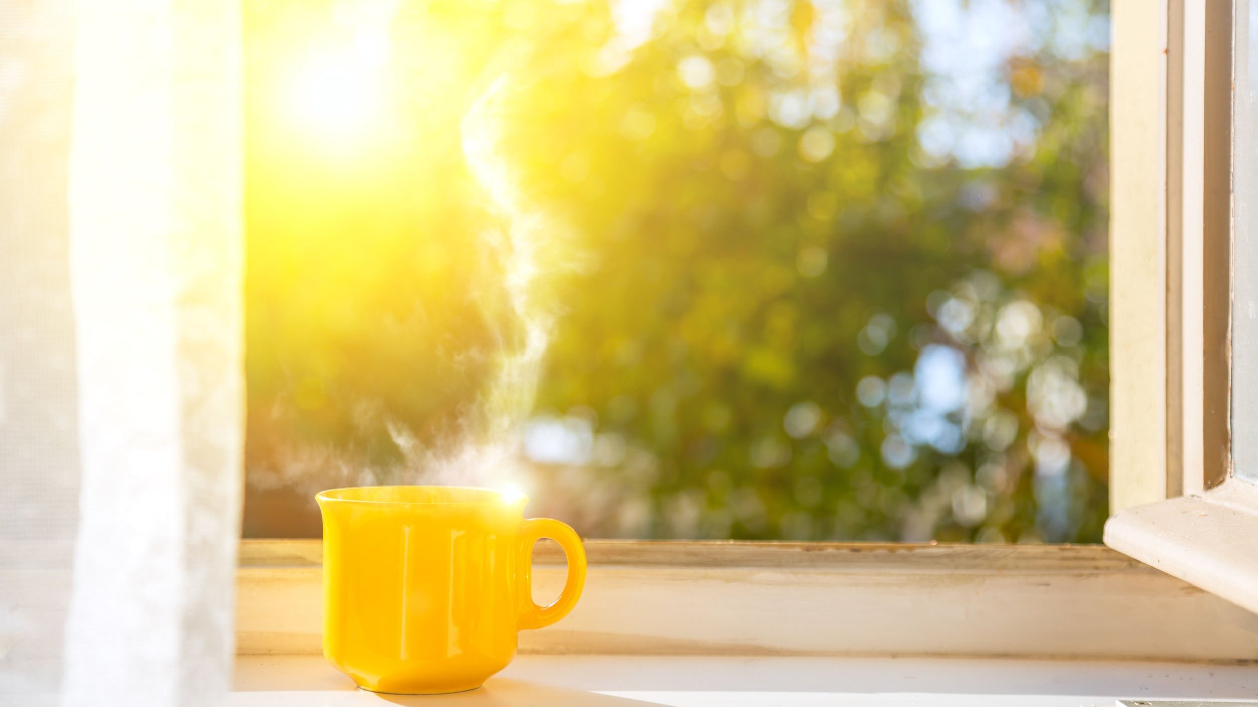 Xícara de café na janela