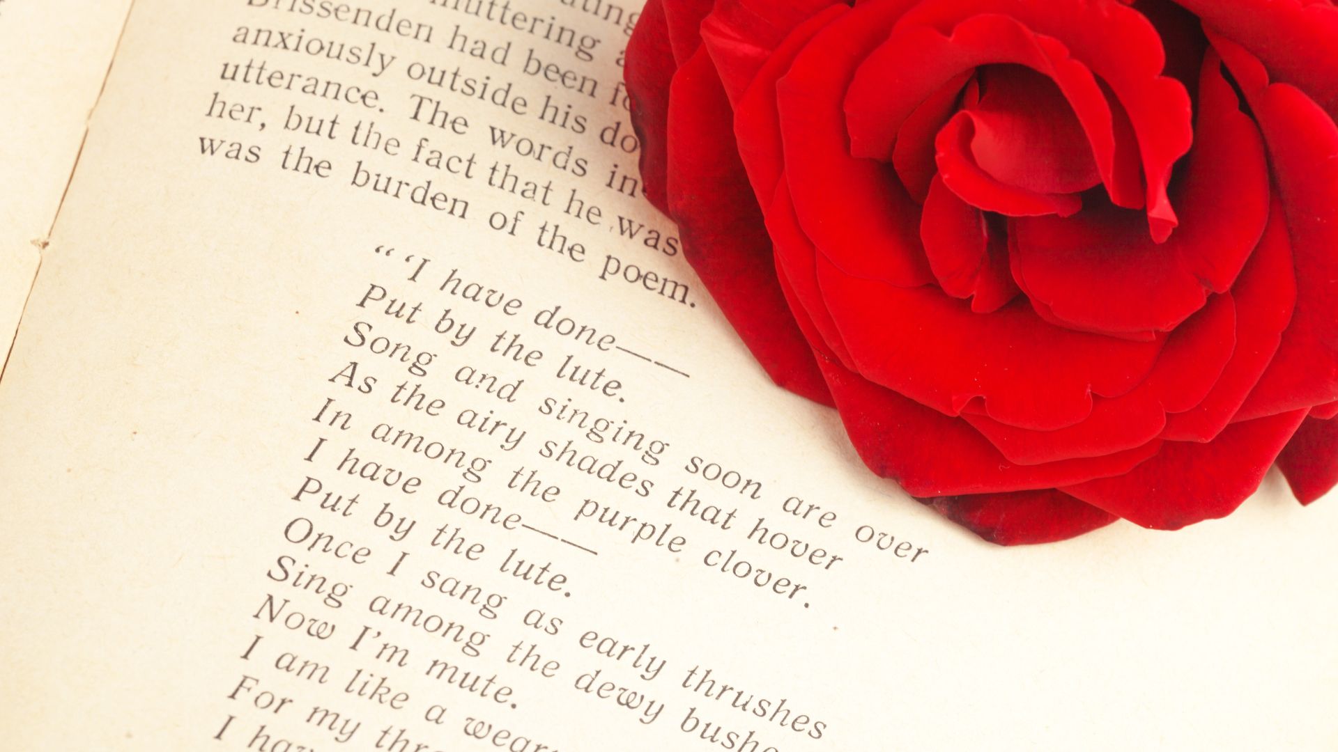 Livro de poesia aberto e com uma rosa vermelha em cima dele
