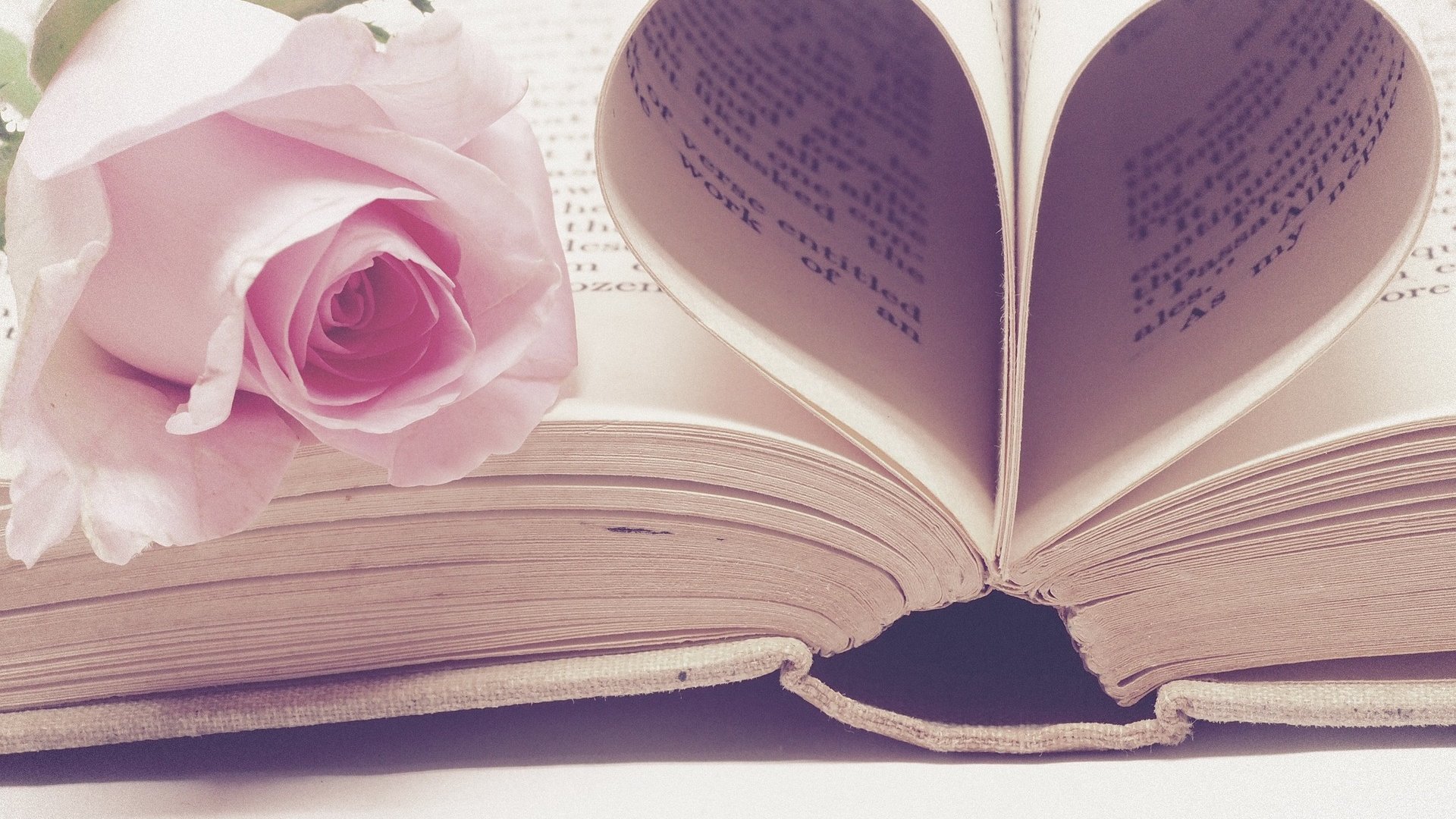 Imagem de um livro com uma das páginas em formato de coração e uma flor cor de rosa em cima do livro.