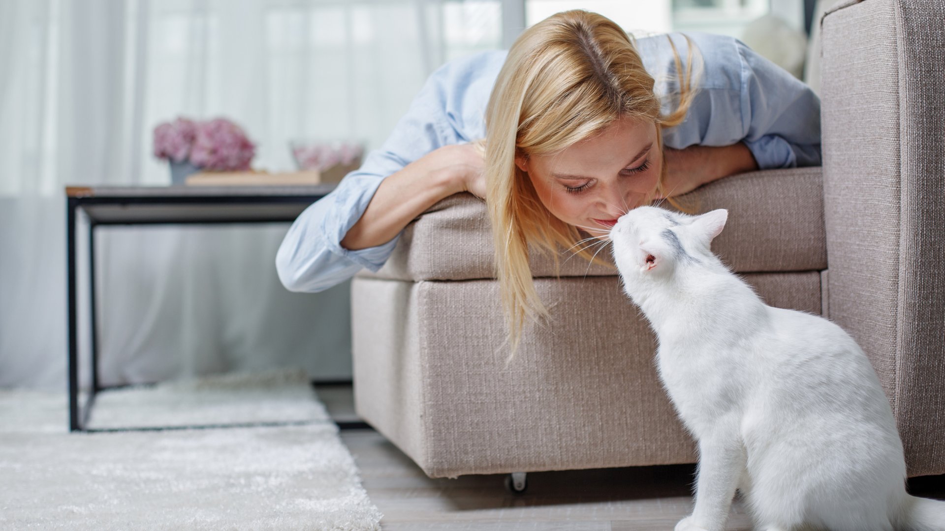 Mulher dando carinho para seu gato