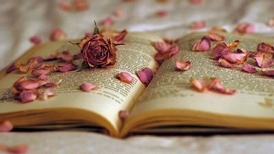 Reflexões Amorosas. Coloque seus sentimentos em palavras.