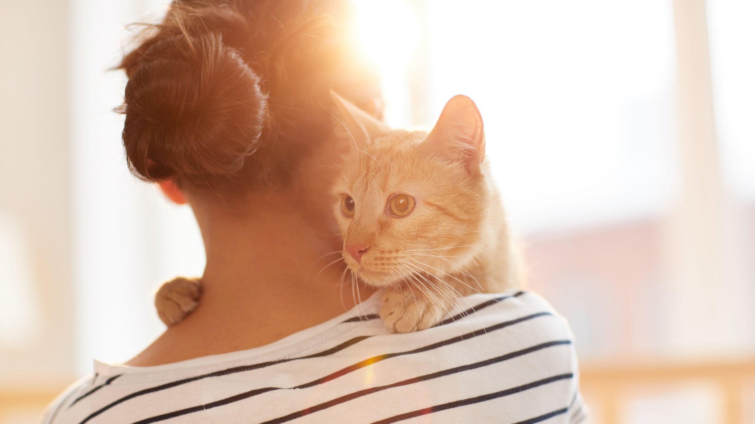 Mulher abraçando gatinho