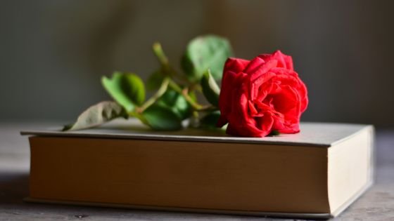 Rosa vermelha em cima de um livro de poemas