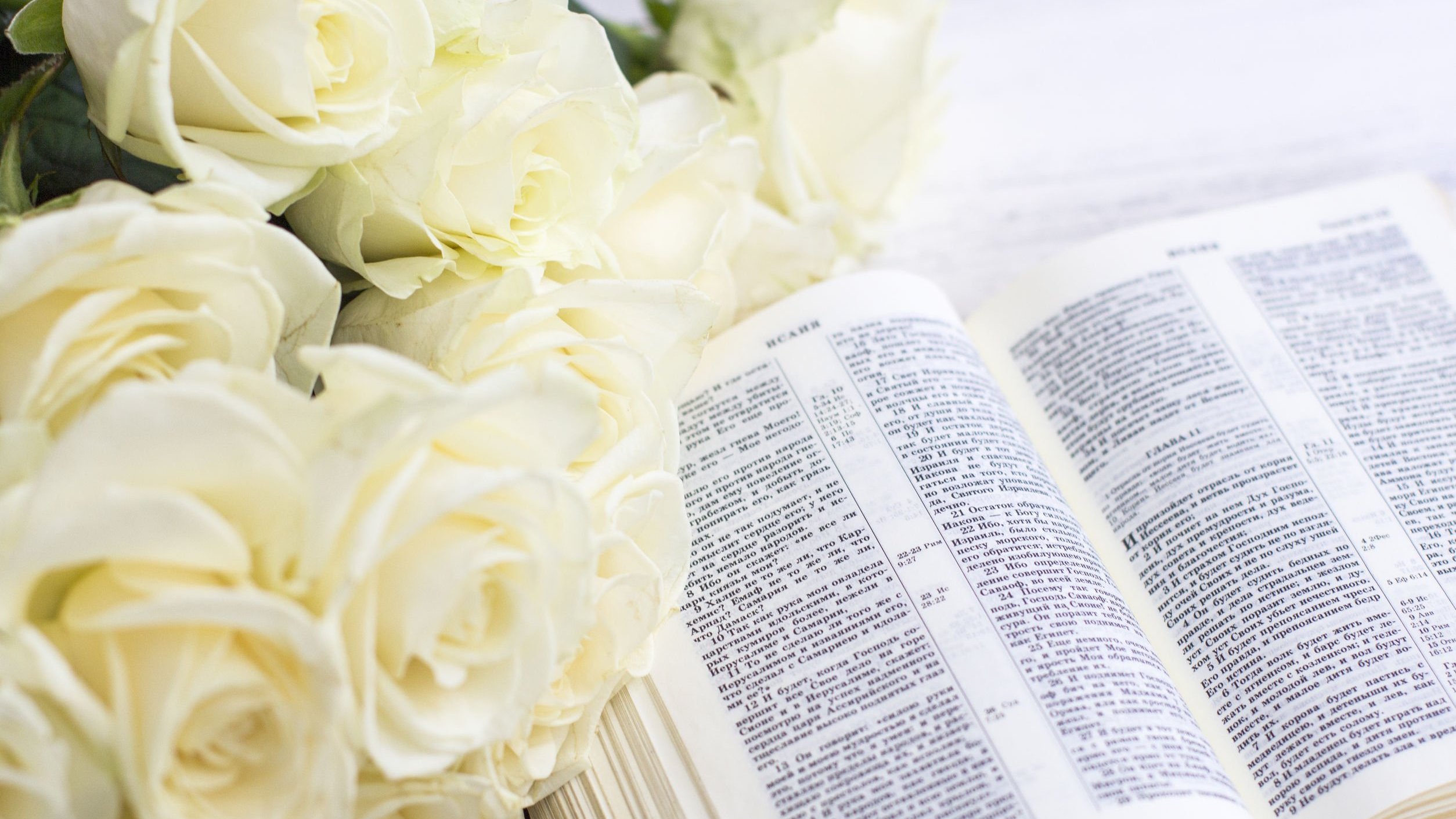 Bíblia aberta com flores brancas ao lado.