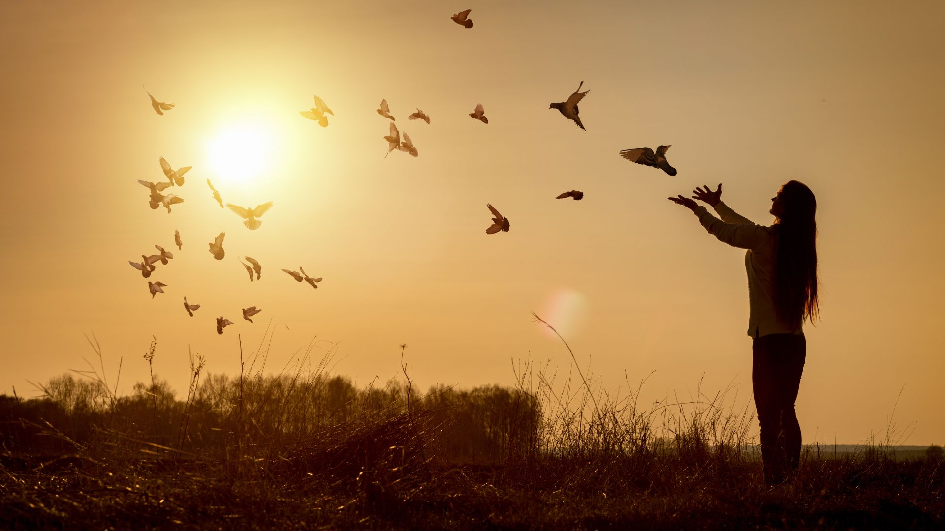 Imagem de uma moça de cabelos longos, olhando para o pôr do sol. Suas mãos estão direcionadas a ele e vários pássaros sobrevoam o local.