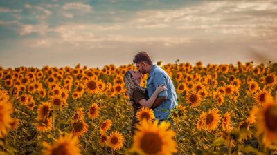 Elogios ao amor