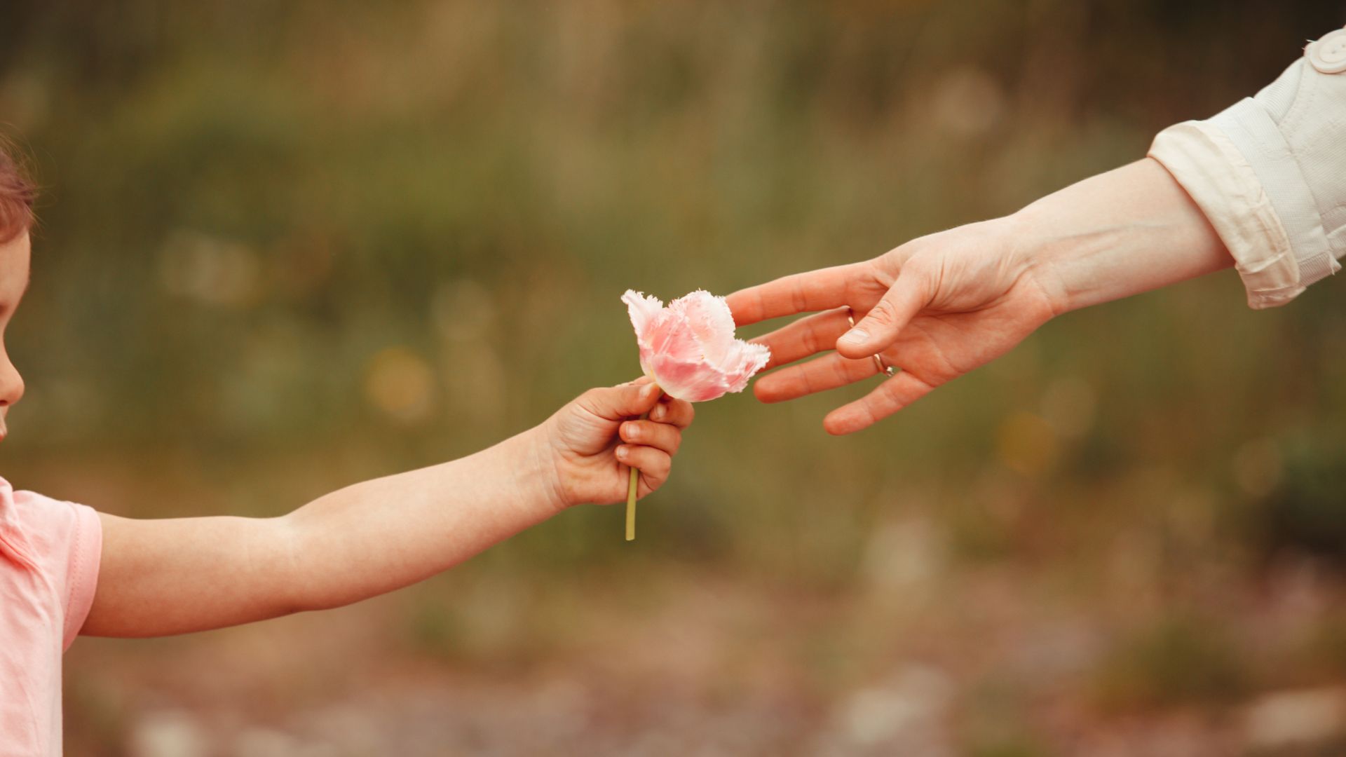 Imagem de uma criança entregando uma flor na cor rosa para a sua mãe.