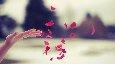 Reflexão Sobre A Vida Frases Para Dar Um Up No Seu Dia