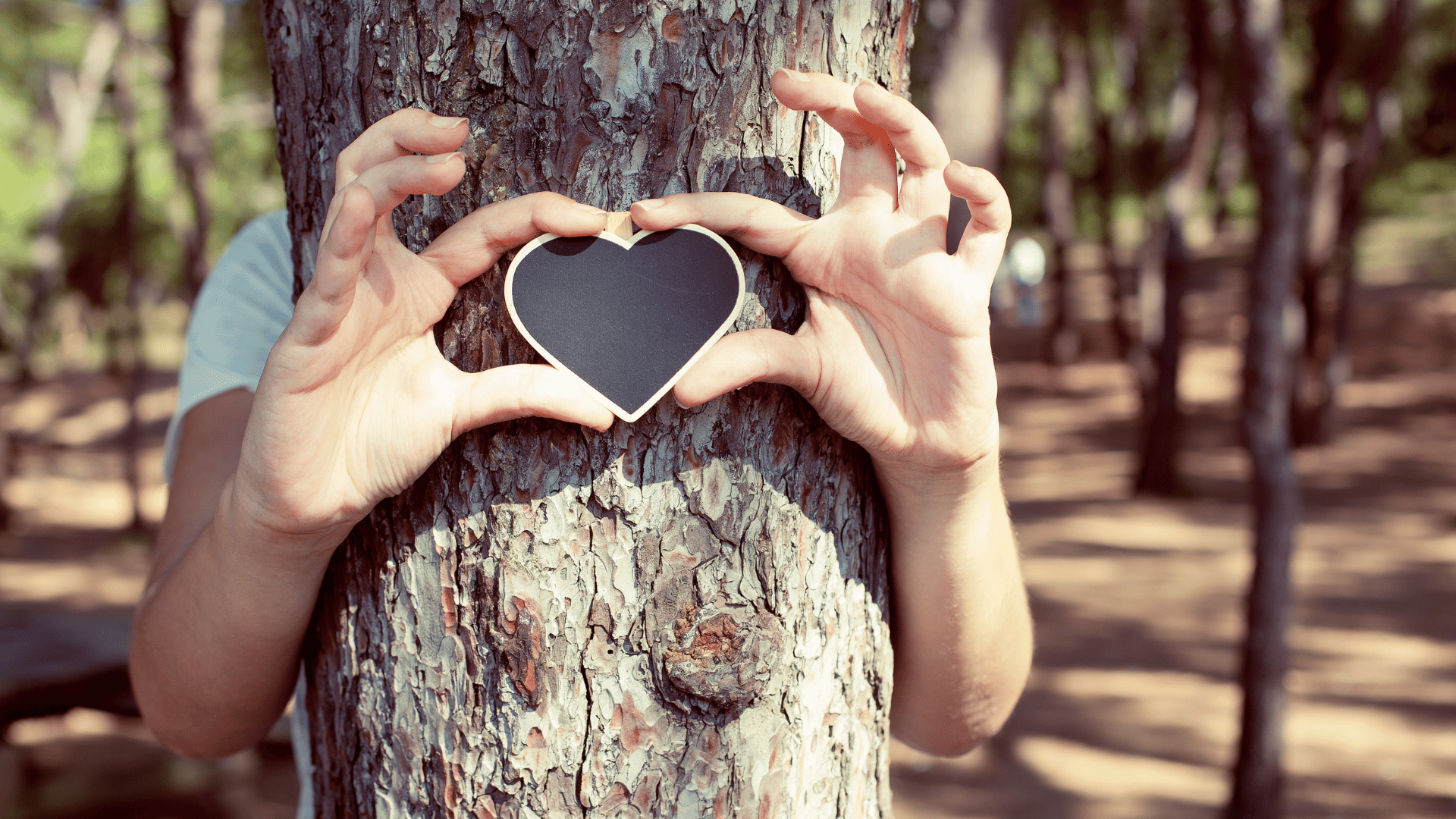 Pessoa segurando um coração junto a uma árvore