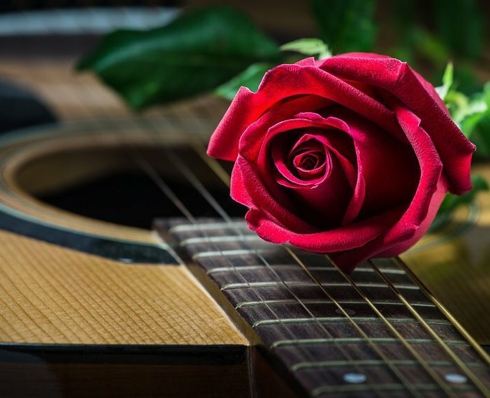 12 Musicas Romanticas Para Dedicar A Pessoa Amada 12 Musicas Romanticas Para Dedicar A Pessoa Amada