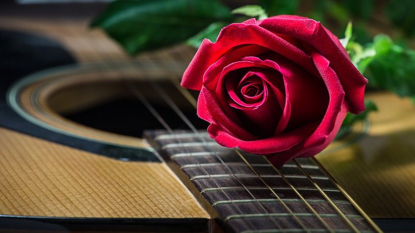 Rosa vermelha em cima de um violão