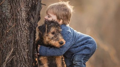 12 formas de descobrir que seu cachorro te ama