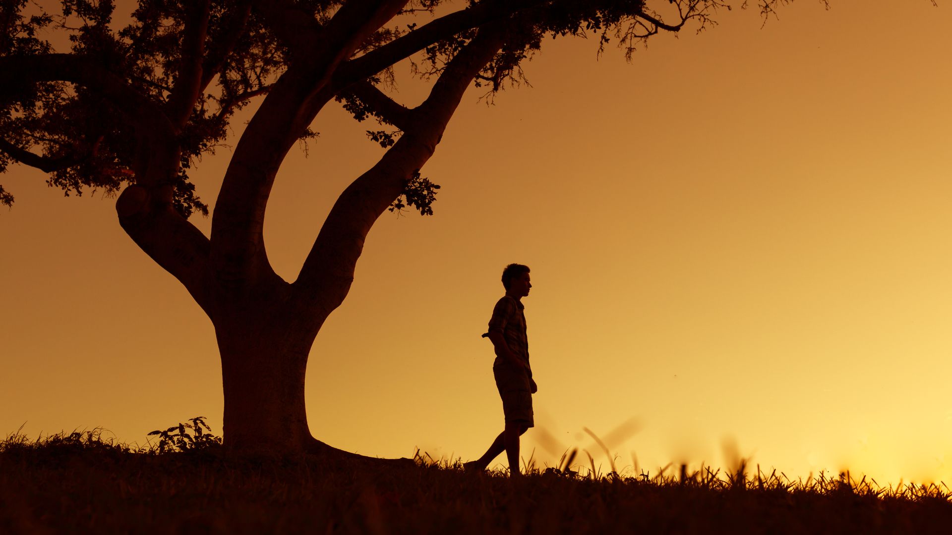Imagem de um lindo pôr do sol e em destaque um homem sozinho ao lado de uma grande árvore.