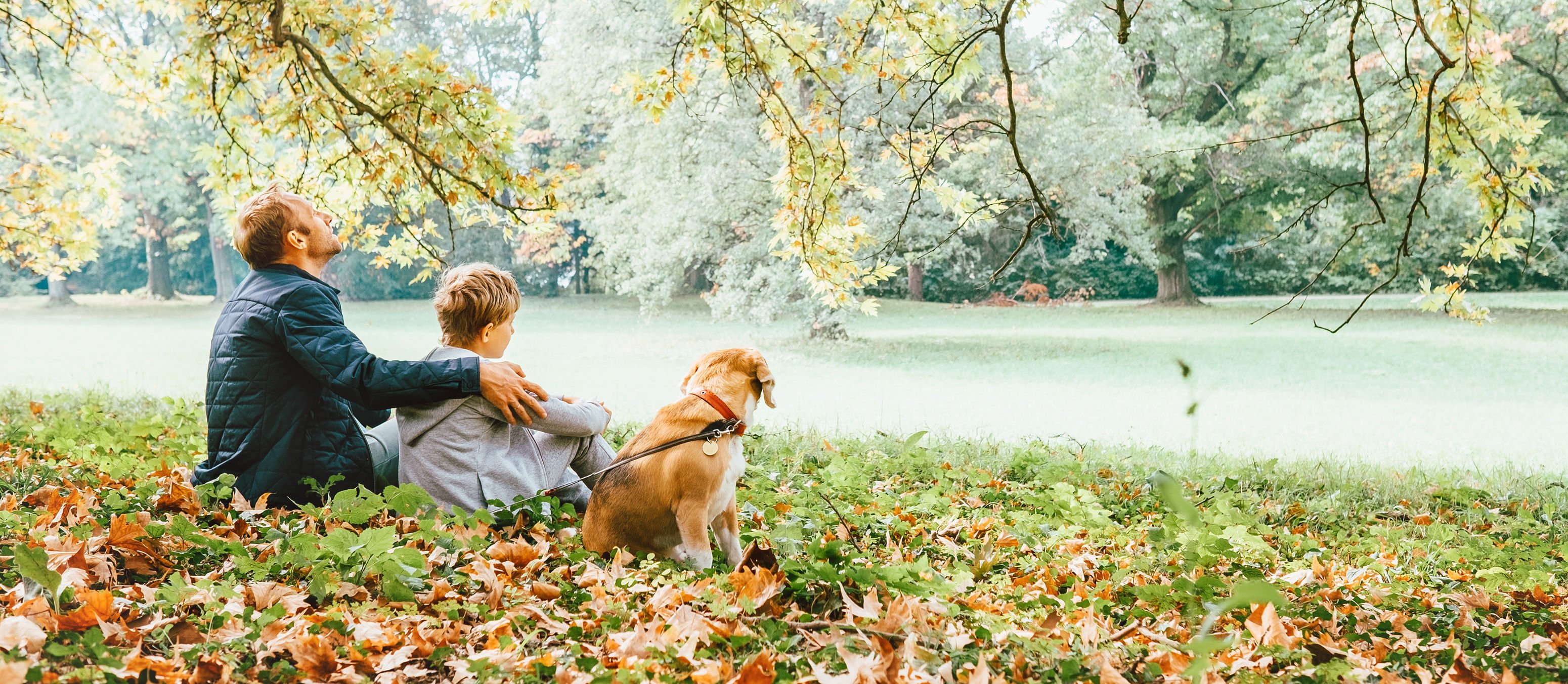 Homem com menino e cachorro sentados em grama cheia de folhas secas, olhando para um rio em sua frente.