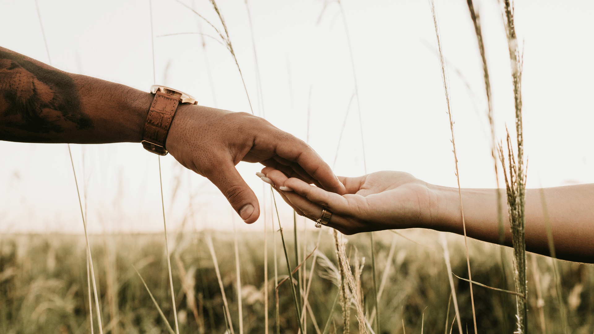 Foto de casal prestes a dar a mão em um campo. Imagem só das mãos deles.