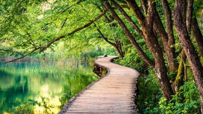 Frases Sobre Amar A Natureza Seja Grato Pelo Mundo