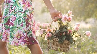 Quais sementes você tem plantado?