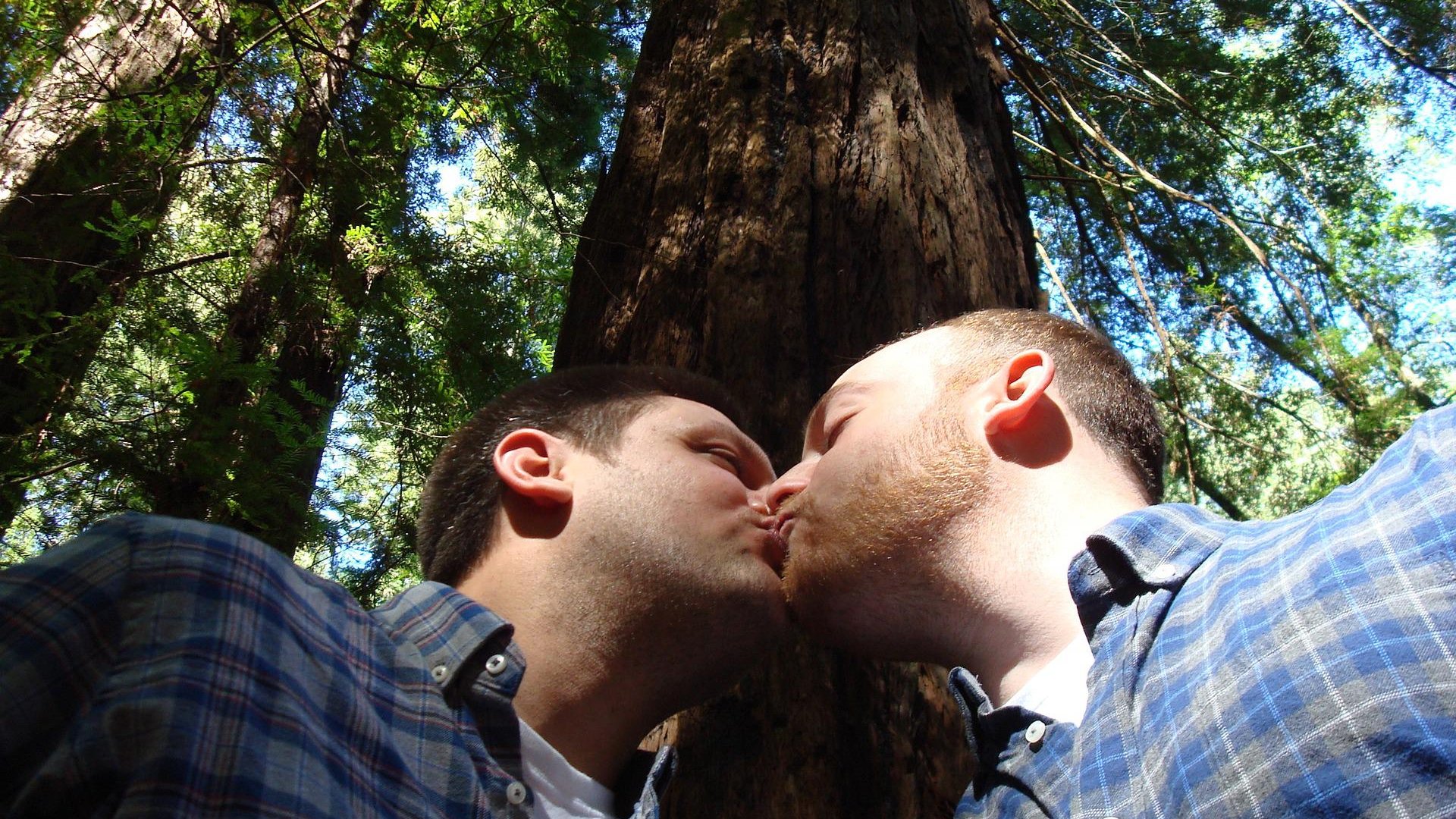 Um casal gay se beijando em frente a uma árvore em um dia ensolarado.