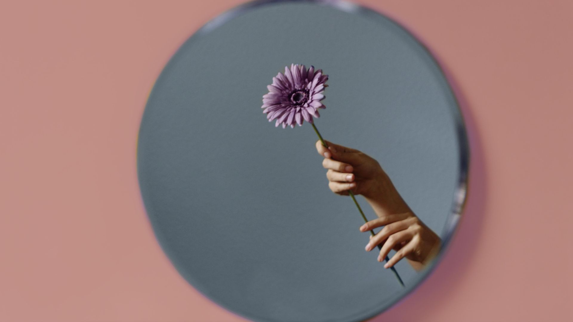 Imagem de um espelho e o reflexo de uma pessoa segurando uma flor roxa