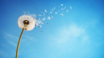 Bem-vindo, céu azul! Inspire-se com mensagens de esperança