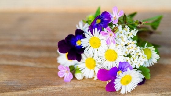 Sem chuva não há flores. Os momentos ruins também são 