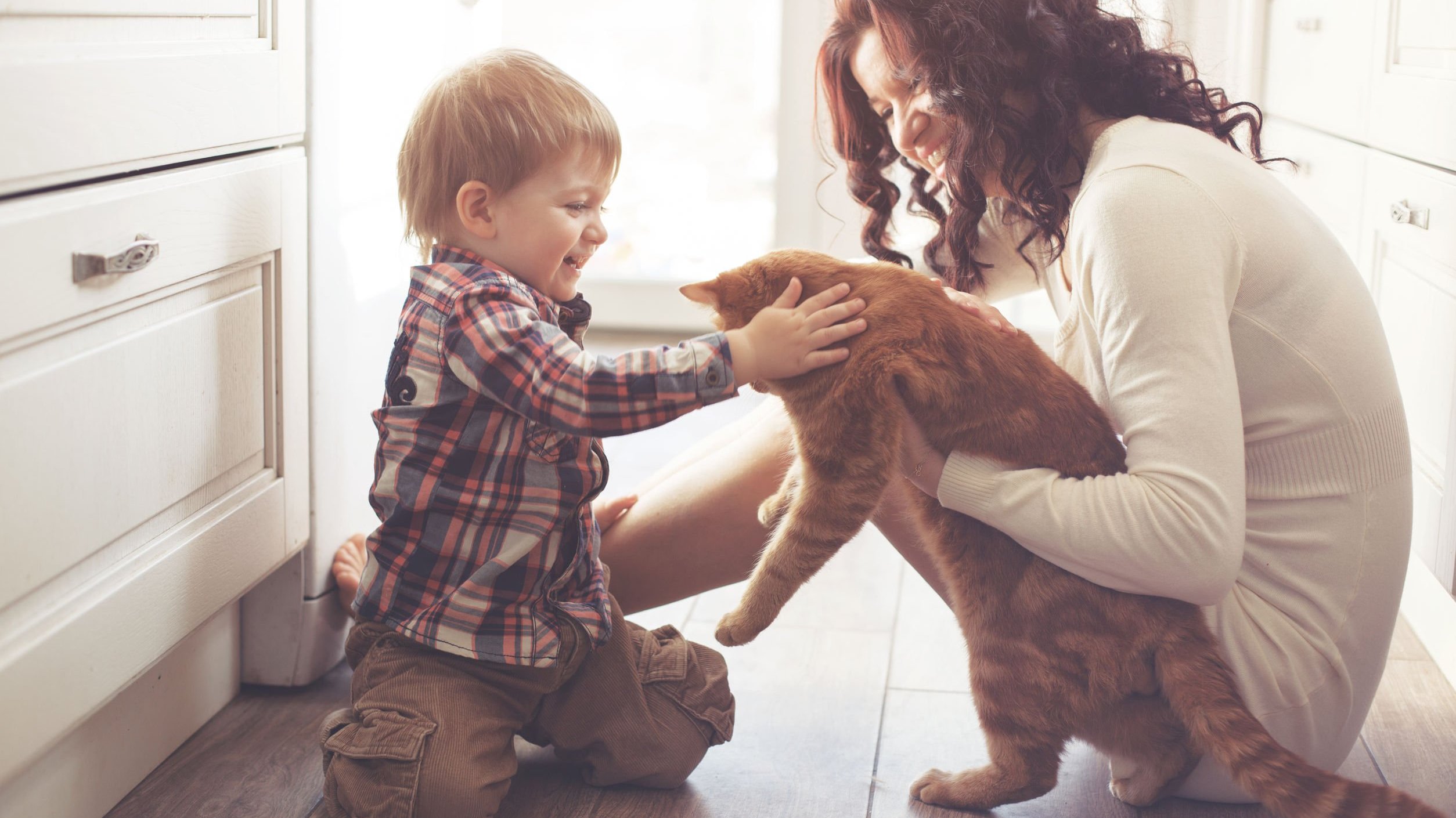 Mãe segurando gato para o filho fazer carinho