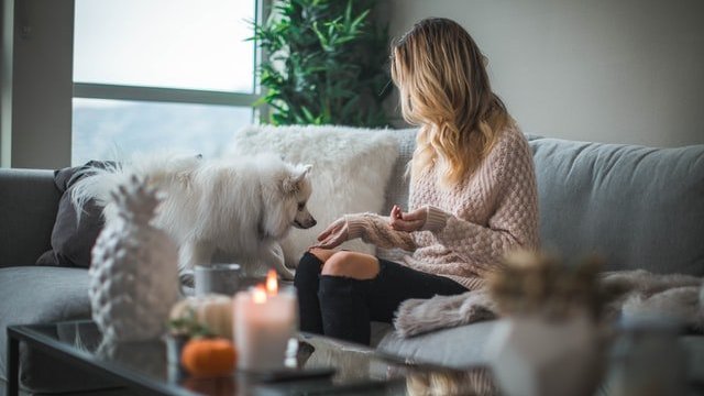 Mulher sentada em sofá em uma sala, com um cachorro pequeno prestes a subir em seu colo.