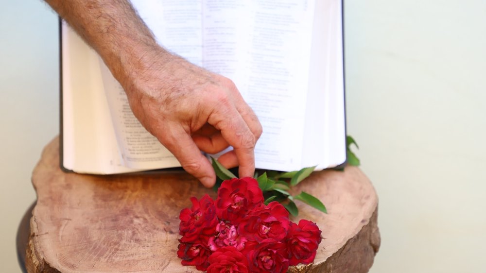 Mão colocando uma rosa em frente a uma Bíblia